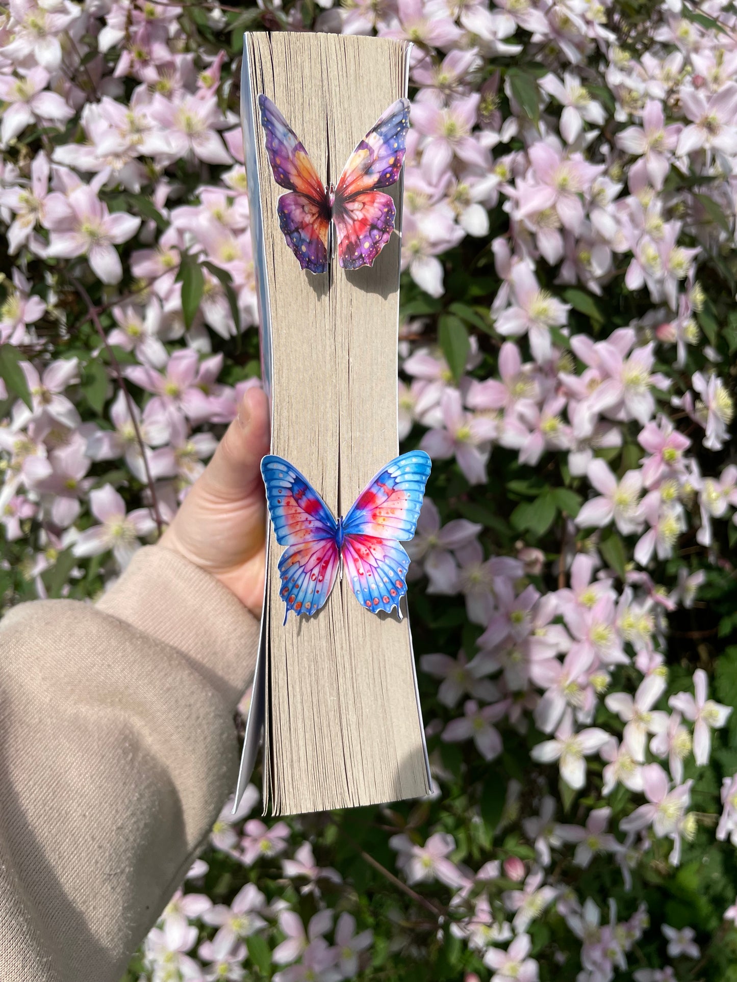 3D Butterfly Bookmark/Decor